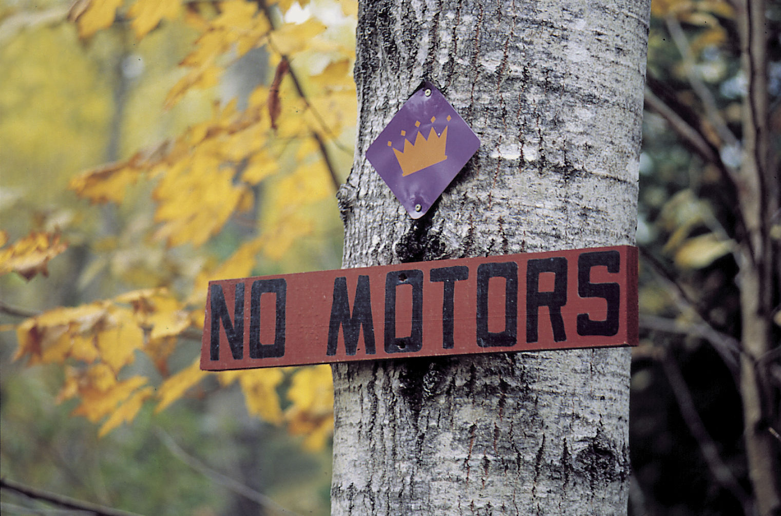 motors.jpg